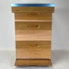 Red Cedar Spaarkast (compleet) 2BK+1HK